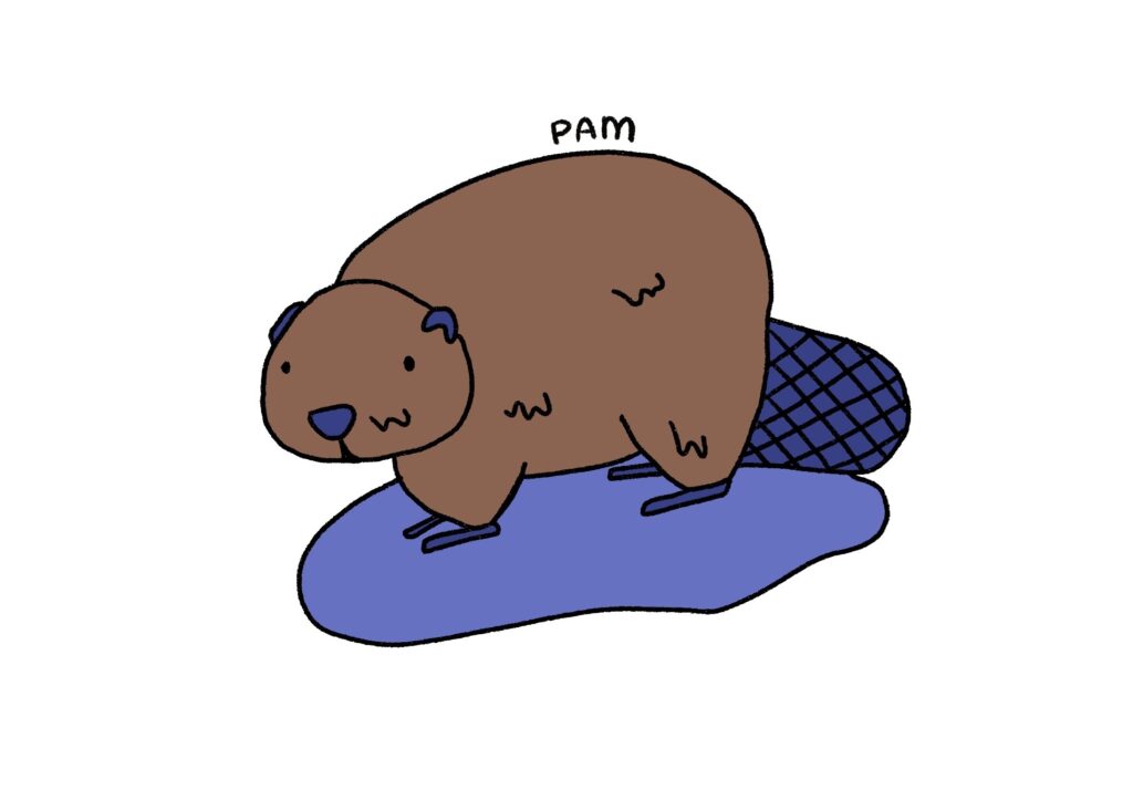 Pam The Beaver